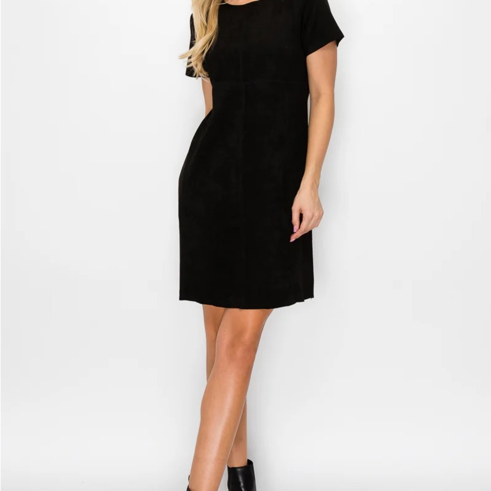 NWT JOH Audrey Suede Round Neck Dress with Pockets